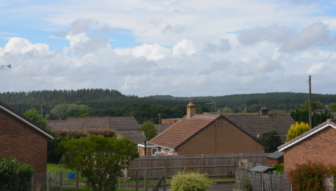 Long shot of houses in the Forest of Dean